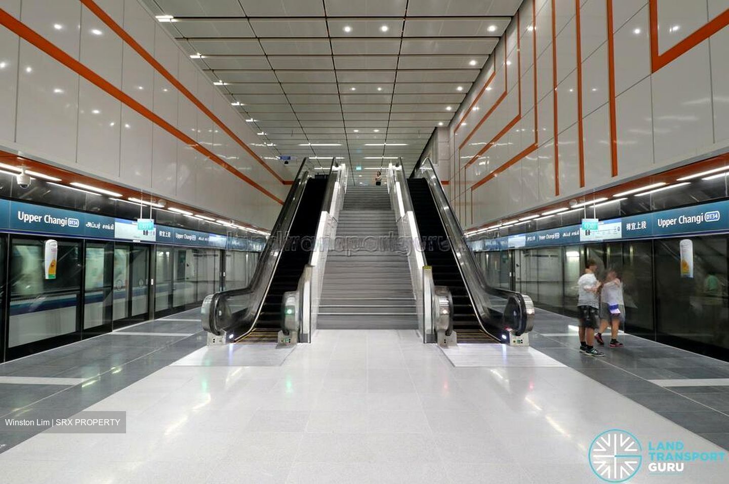 Apollo Gardens (D16), Terrace #469134781